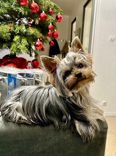 The Domain Monderlay, Eleveur de Chiens à Dordives