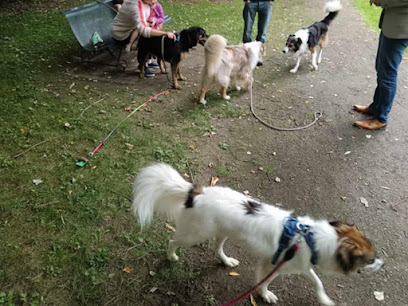 Pet's Heaven 80 Pension Pour Chien à Champien