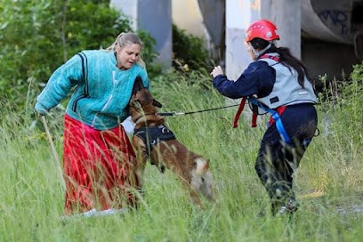Elsku Hundur, Pension pour Chiens à Azé