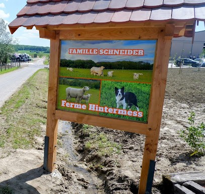 Schneider Astrid, Eleveur de Chiens à Waldhambach
