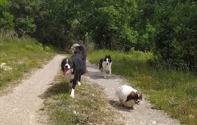 Déclic éducation canine, Dresseur de Chiens à Ruoms