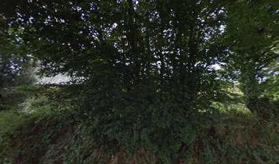 Elevage Du Domaine D'Hofman, Eleveur de Chiens à Grâce-Uzel