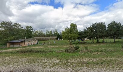 Club d'Education Canine du Velay (CEC Velay), Dresseur de Chiens à Monistrol-sur-Loire