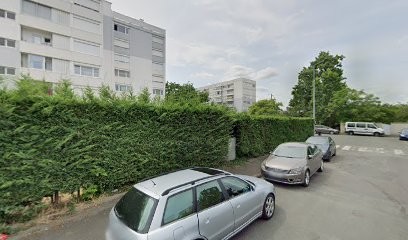 Elevage Bichon renard, Eleveur de Chiens à Angers