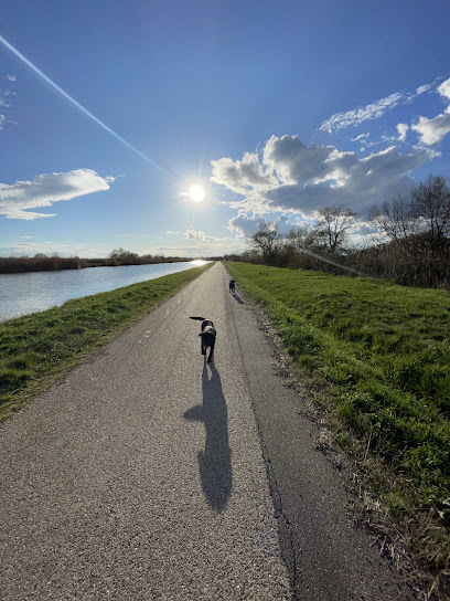 Élevage Du Mas Près, Éleveur De Chiens à Vauvert