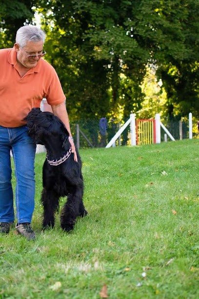 Club De Chiens Du Houlme, Dresseur de Chiens au Houlme
