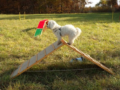 Des Loulous Bien Sages, Dresseur de Chiens à Langon