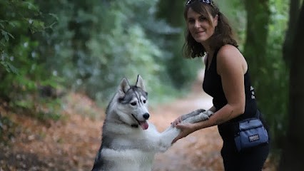 AmiCan'Idée éducateur canin La Rochelle, Dresseur de Chiens à Saint-Ouen-d'Aunis