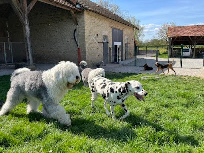 Pension Chiens et Chats Boul'sDog, Pension pour Chiens à Bragny-sur-Saône