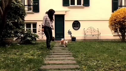 Alexandra Education Canine 78, Dresseur de Chiens à Villennes-sur-Seine