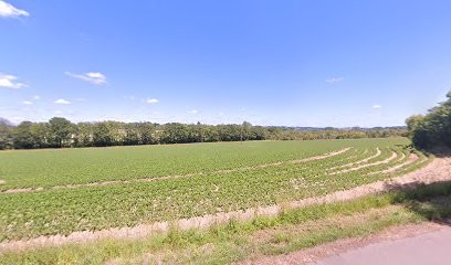 L'École Des P'tits Loups, Dresseur de Chiens à Saint-Thois