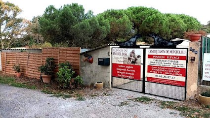Centre Canin de Montolieu, Pension pour Chiens à Montolieu