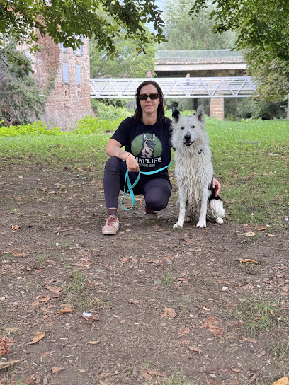 Cani'life, Dresseur De Chiens à Issoire