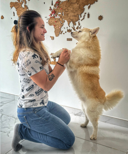 Réflexe Canin - Educateur Canin Grenoble, Dresseur De Chiens à Poisat