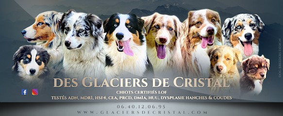 Élevage Des Glaciers de Cristal, Eleveur de Chiens à Bourthes
