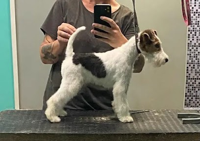 JO AGILITY, Dresseur de Chiens à Perpignan