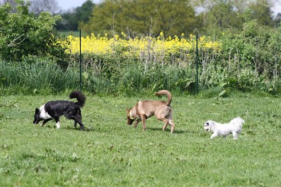 Educagill, Pension pour Chiens à Forges-les-Eaux