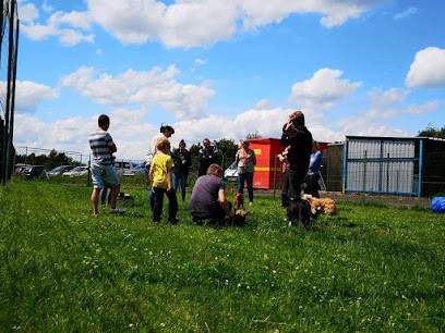 Club D'agility, Flyball Et D'éducation Solesmes, Dresseur de Chiens à Solesmes