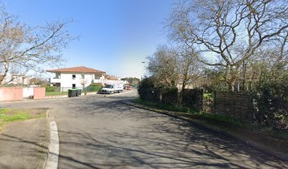 Elevage De Shar Peï LOF Jazzy' Peï, Eleveur de Chiens à Toulouse