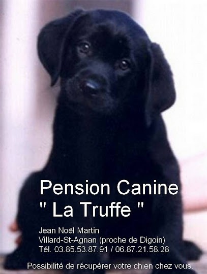 Pension Canine La Truffe, Pension pour Chiens à Saint-Agnan