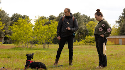Dogtrailer Educateur Comportementaliste Canin La Rochelle Dresseur De Chiens à la Rochelle