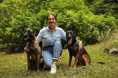 Éducateur Comportementaliste Canin À Saint-Germain-Du-Puch - Camille Bruand, Dresseur De Chiens à Saint-Germain-du-Puch