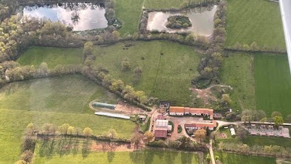 Le Domaine Du Bost, Pension pour Chiens à Mornand-en-Forez