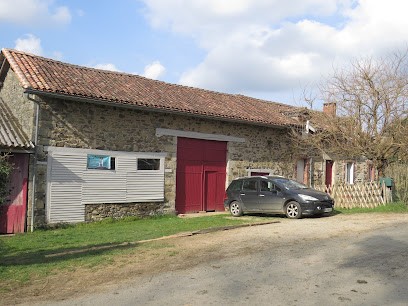 Freed Dogs - éducateur Canin, Dresseur de Chiens à Saint-Paul