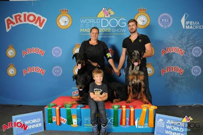 Beaucerons Des Terres Deauson, Éleveur De Chiens à Saint-Martial-sur-Isop