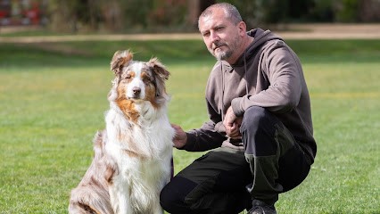 Natureduc - éducateur Comportementaliste Canin, Dresseur de Chiens à Saint-Riquier
