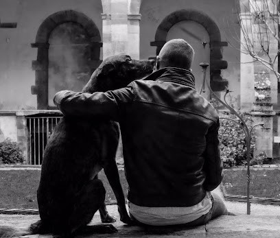 Guillaume Bernillon - Éducateur Canin Comportementaliste, Dresseur de Chiens à Lille