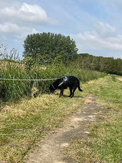 Au Paradis D'Oya, Pension pour Chiens à Beuzevillette