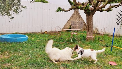 Aloha Dogs, Pension pour Chiens à Fabrègues