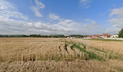 Les Petites Frimousses, Eleveur de Chiens à Masnières