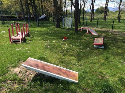 Training Club Minier De Wittenheim, Dresseur de Chiens à Wittenheim