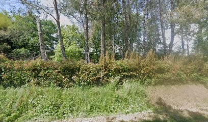 Doggy's Cool, Dresseur de Chiens à Montvalen