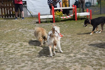 Club Éducation Canine De Rieulay, Dresseur de Chiens à Rieulay