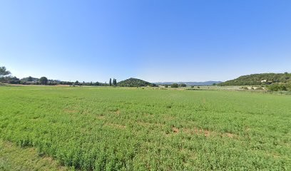 Bayle Claudine, Eleveur de Chiens à Montoison
