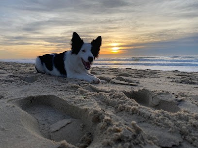 M. Prat Ludovic, Dresseur de Chiens à Mimizan
