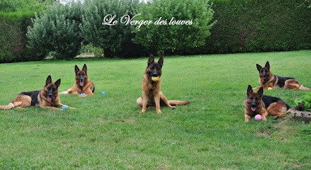 Elevage du Verger des louves, Eleveur de Chiens à Coulommiers