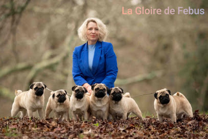 La Gloire De Febus, Éleveur De Chiens à Saint-Hilaire-la-Gravelle