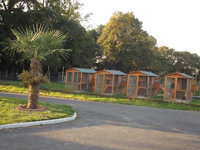 Pension Canine Et Féline Et éducation Du Haras Du Breil, Pension pour Chiens à Brecé