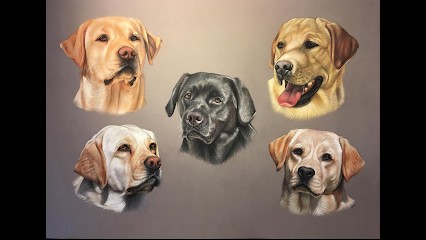 Sweet Braveheart Melody, Eleveur de Chiens à Maraye-en-Othe