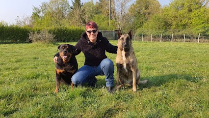 Pat' de Soucis, Dresseur de Chiens à Montigny-Lencoup