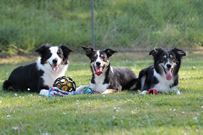 Corinne BENETRUY - Educateur Canin Comportementaliste, Dresseur de Chiens à Roche-lez-Beaupré