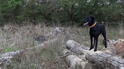 BIEN DANS MA TRUFFE, Pension pour Chiens à Rocheservière