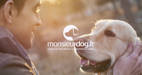 CANINO - MonsieurDog.fr, Dresseur de Chiens à Saint-Germain-en-Laye