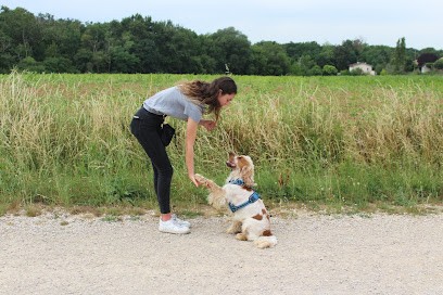 Educ O'poils, Dresseur de Chiens à Pechbonnieu