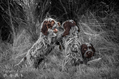 Elevage Canin Des Mares Gatinaises, Éleveur De Chiens à Azay-sur-Thouet