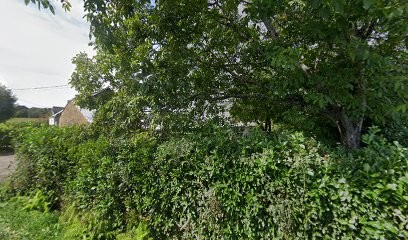 Ar gwez Avaloù, Eleveur de Chiens à Plumelin